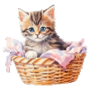 Koťátko