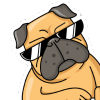 Psí cedulky