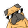 Psí cedulky