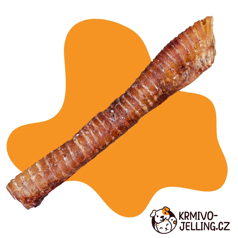 Hovězí hrtan XXL cca. 50cm