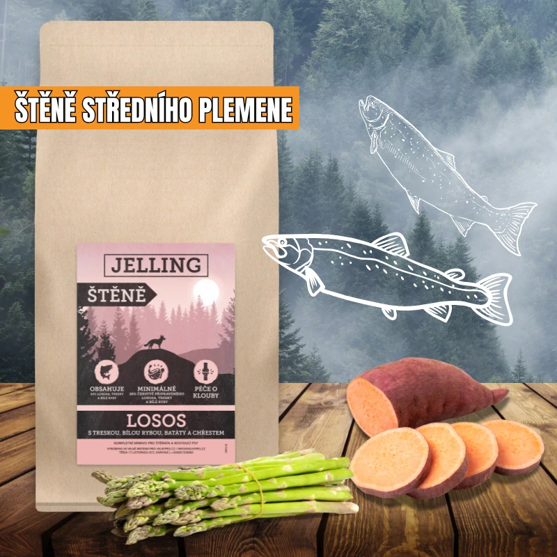 LOSOS S TRESKOU, BÍLOU RYBOU, BATÁTY A CHŘESTEM - ŠTĚNĚ STŘEDNÍHO PLEMENE