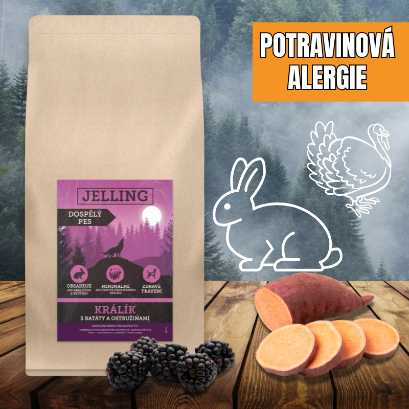 KRÁLÍK S BATÁTY A OSTRUŽINAMI - DOSPĚLÝ PES STŘEDNÍHO PLEMENE/LIGHT