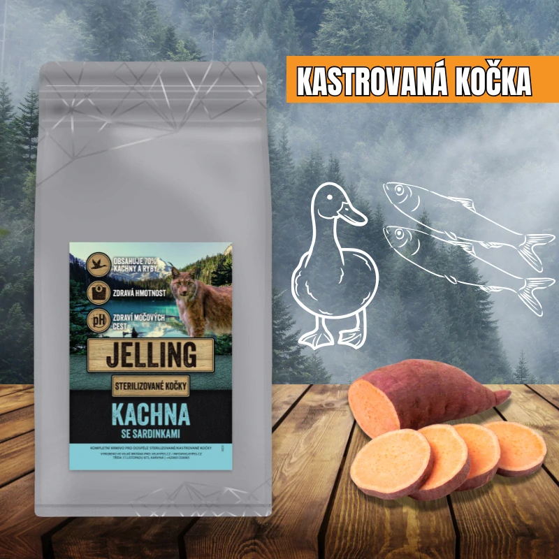 KACHNA SE SARDINKAMI - KASTROVANÁ KOČKA VŠECH PLEMEN