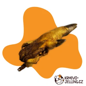 Kančí noha