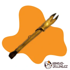 Srnčí noha