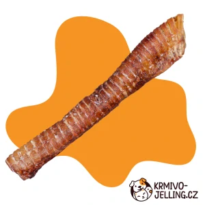 Hovězí hrtan XXL cca. 50cm