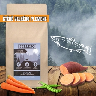 LOSOS S BATÁTY A ZELENINOU - ŠTĚNĚ VELKÉHO PLEMENE