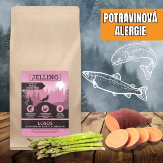 LOSOS SE PSTRUHEM, BATÁTY A CHŘESTEM - DOSPĚLÝ PES MALÉHO PLEMENE
