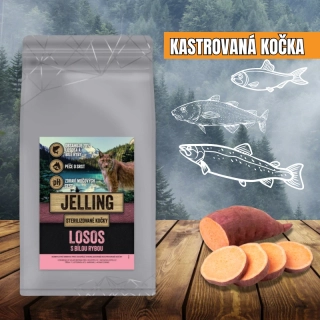 LOSOS S BÍLOU RYBOU - KASTROVANÁ KOČKA VŠECH PLEMEN